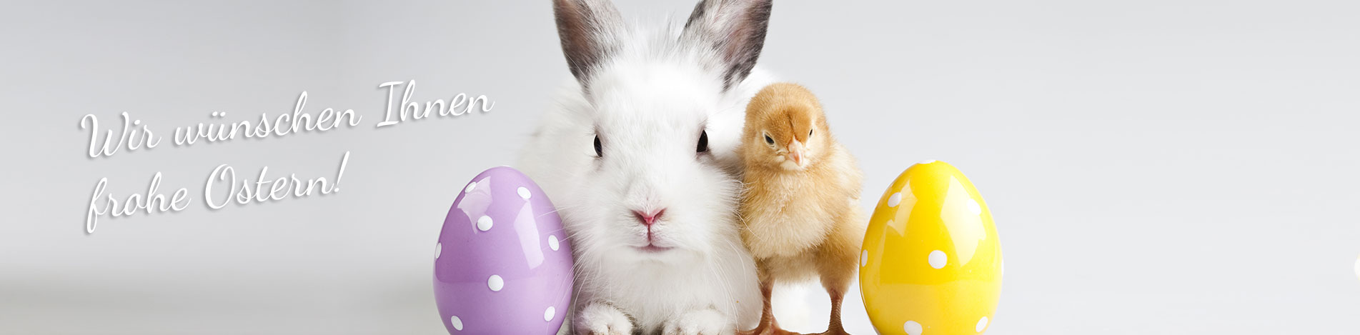 webaktiv-ostern01 webaktiv-ostern01